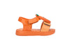 Mini Melissa Jump Fruitland BB
