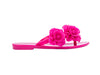 Mini Melissa Harmonic Garden INF